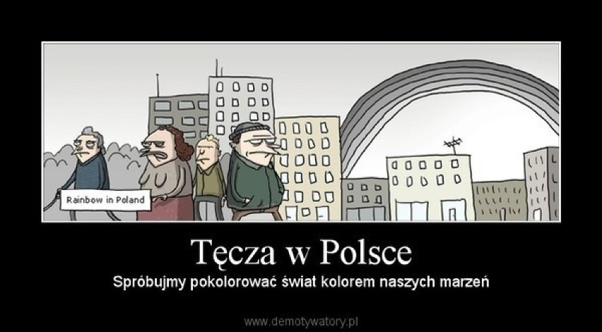 Polska i Polacy. Jak widzimy samych siebie? [GALERIA MEMÓW]