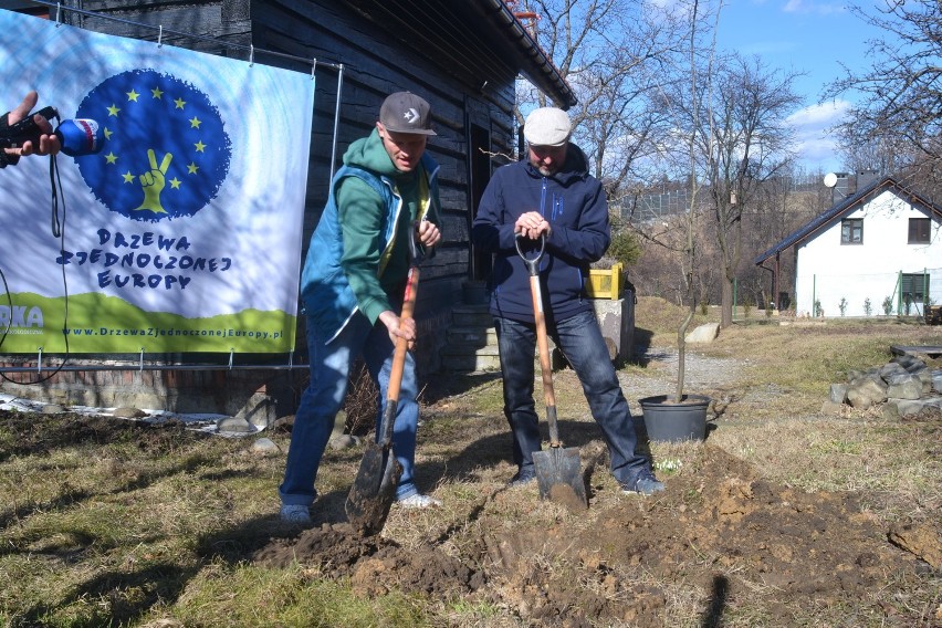 Bielsko-Biała: Drzewa Zjednoczonej Europy. Ruszyła nowa akcja Fundacji Arka [ZDJĘCIA]