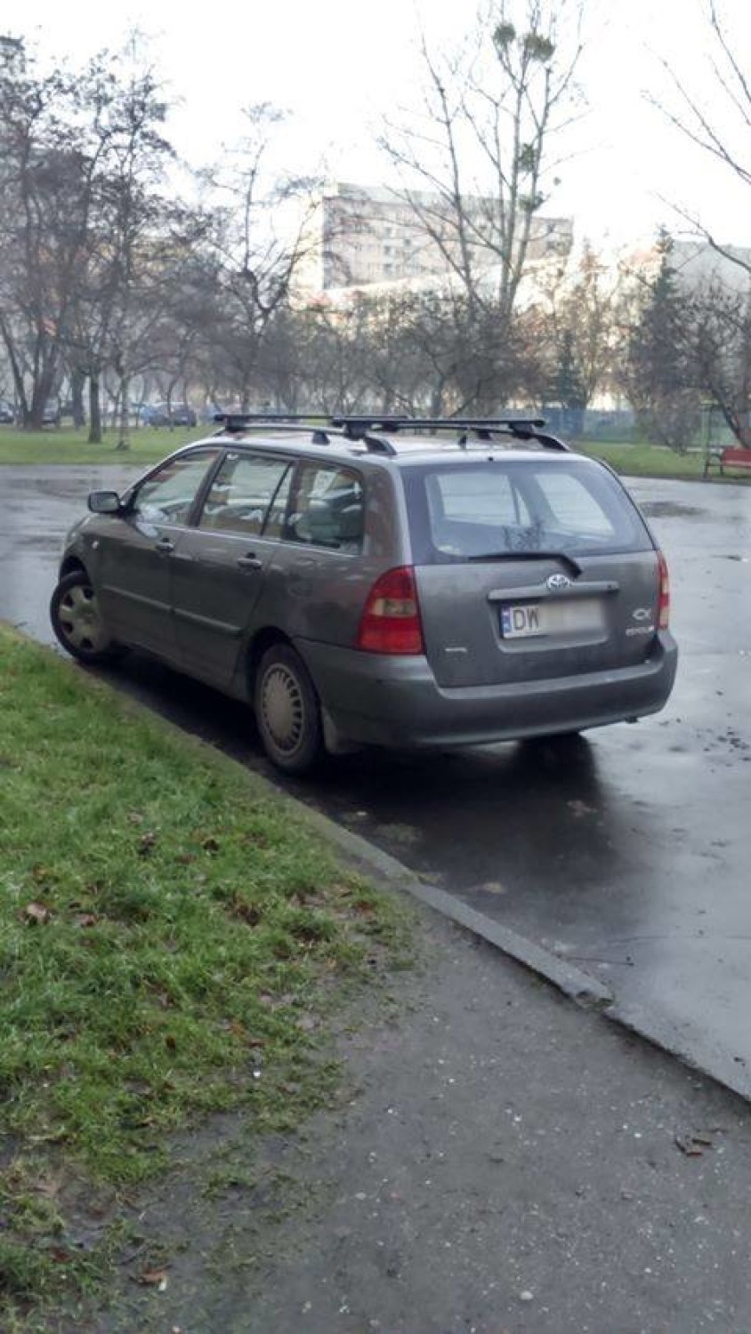 Kierowcy! Tak nie parkujcie! Oto "Wrocławskie Święte Krowy". Zobaczcie zdjęcia!