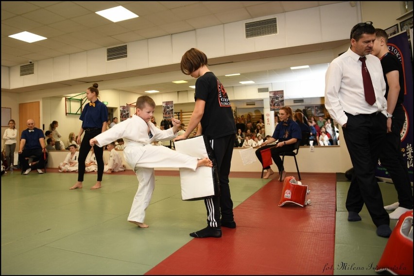 Turniej Mikołajkowy „Pierwszy krok” Ostrowskiego Klubu Karate Kyokushinkai