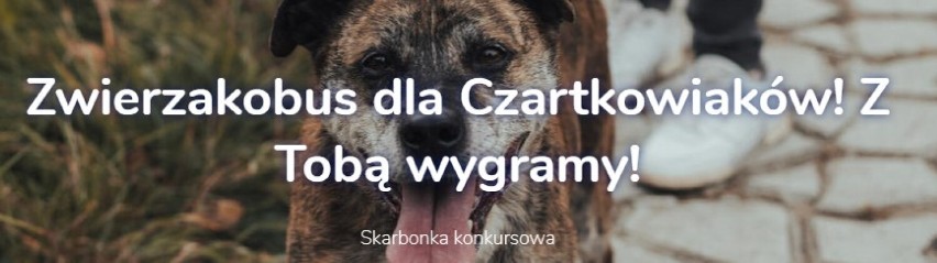 Zwierzakobus dla Fundacji Schroniska Funny Pets w Czartkach. Trwa konkurs. Możesz pomóc. Zobacz jak