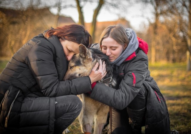 Znęcają się nad zwierzętami. Nie boją się kary