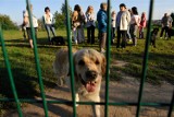 Na bulwarach powstanie drugi wybieg dla psów. Pierwszy cieszy się ogromnym zainteresowaniem właścicieli psów