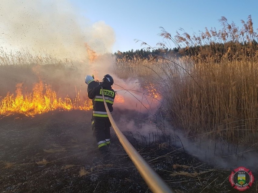 Pożary traw w Kostkowicach. Strażacy mieli bardzo dużo pracy