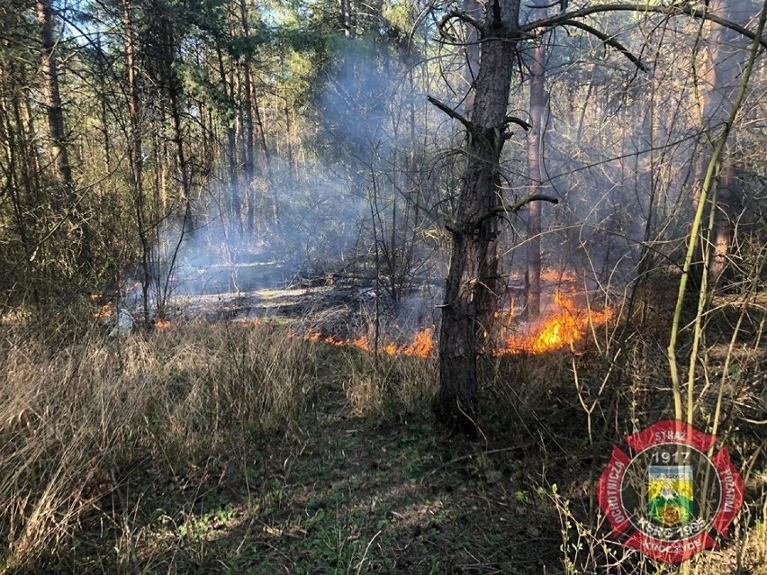 Pożary traw w Kostkowicach. Strażacy mieli bardzo dużo pracy