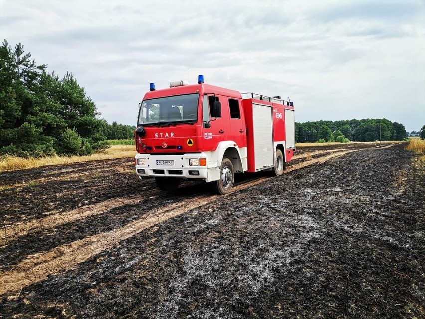 Pożar zboża we Wrzeszczewicach koło Łasku ZDJĘCIA