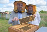Pasieka przy Szkole Mistrzostwa Sportowego w Tychach. Będą zajęcia z pszczelarstwa i będzie produkcja miodu ZDJĘCIA