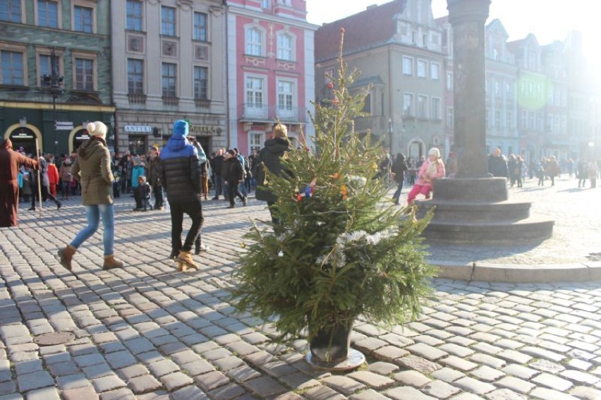 Po tym, jak rozebrano EKOchoinkę, ktoś na Starym Rynku...