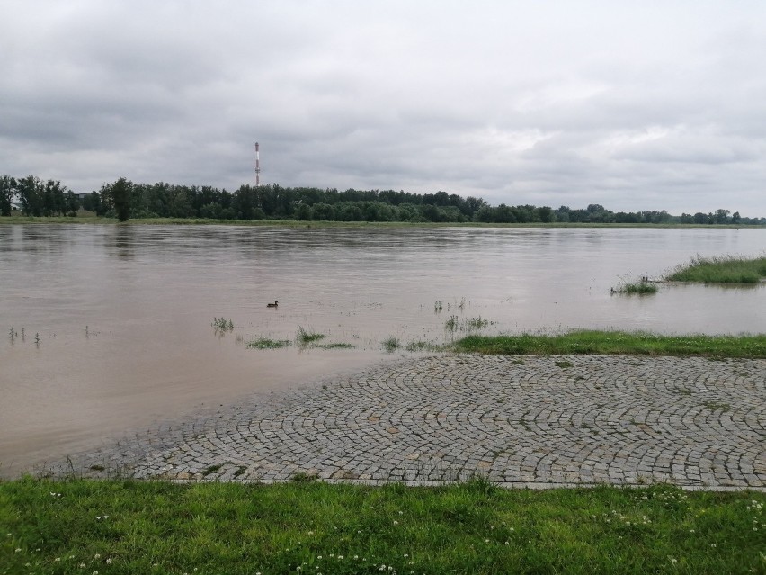 Wisła w Sandomierzu przybiera! Woda powoli wdziera się na tereny rekreacyjne na Bulwarze Piłsudskiego
