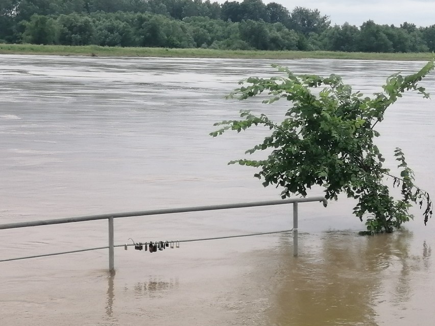 Wisła w Sandomierzu przybiera! Woda powoli wdziera się na tereny rekreacyjne na Bulwarze Piłsudskiego