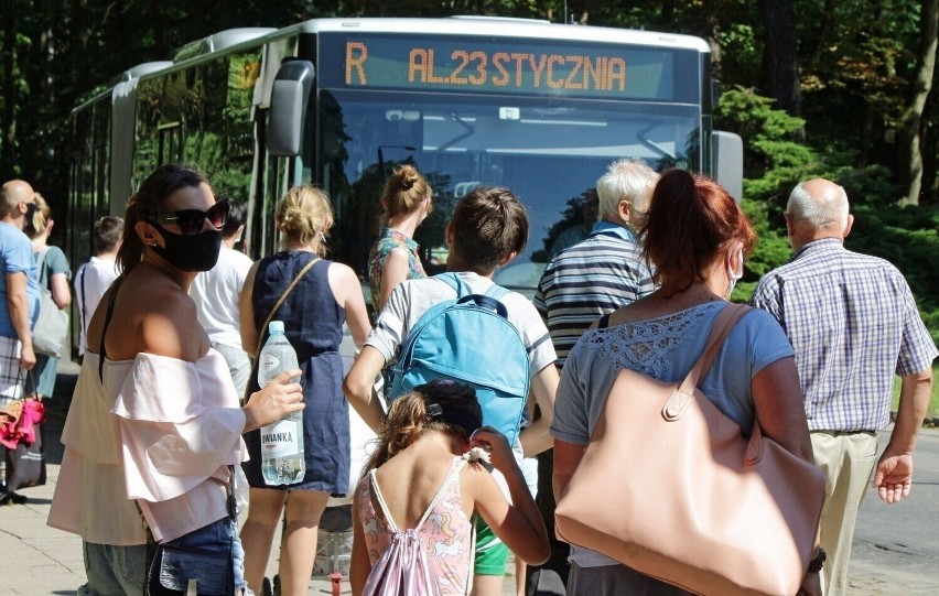 Autobusy linii sezonowej R wożą grudziądzan nad Jezioro...