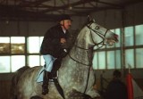 Łukocin, gm. Tczew. W konkursie jeździeckim oceniano skoki i styl