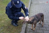 Bytomscy policjanci wsparli schronisko dla zwierząt w Miechowicach