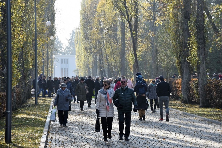 Wszystkich Świętych 2019 w Opolu. Tradycyjnie, największy...