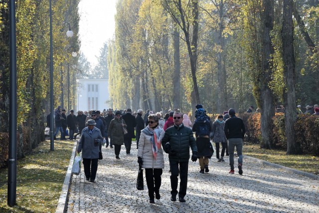 Wszystkich Świętych 2019 w Opolu. Tradycyjnie, największy ruch panuje w okolicy cmentarza Opole-Półwieś. Ale rodziny nie zapominają też o bliskich spoczywających w innych nekropoliach w stolicy regionu, np. w Grudzicach czy Kolonii Gosławickiej.