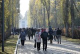 Wszystkich Świętych 2019. Tłumy na cmentarzu Opole-Półwieś. Rodziny zmarłych zaglądają też do Grudzic i Kolonii Gosławickiej [ZDJĘCIA]