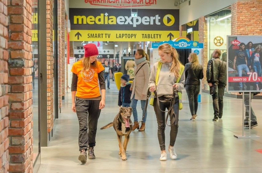 13-letni Hefajstos na akcji w Outlet Center Białystok