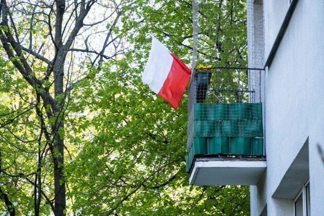 Polska flaga państwowa nie może zawierać żadnych napisów, powinna mieć proporcje 5:8