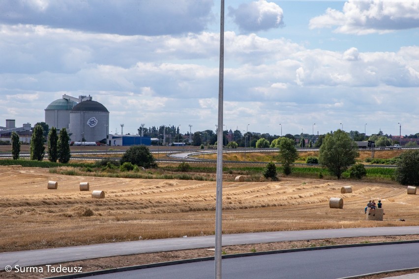 Przez łąki, przez pola... Żniwa w Stargardzie ZDJĘCIA