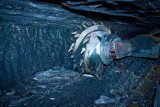 Górnicy fedrują węgiel z nowych ścian w Brzeszczach i Libiążu