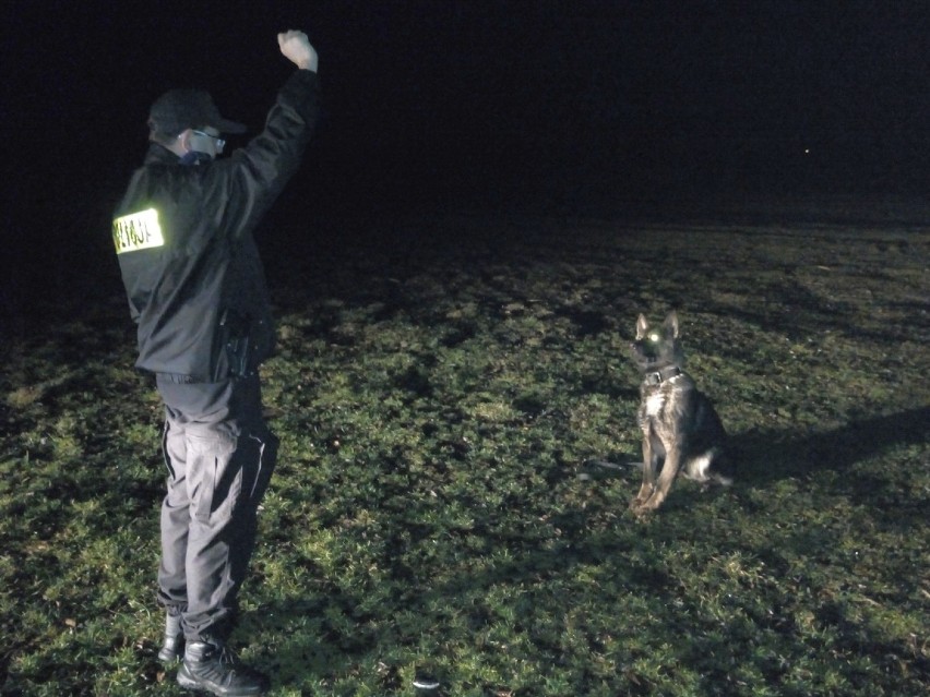 Szkolenie policyjnych owczarków z KPP w Radziejowie w Połajewie [zdjęcia]