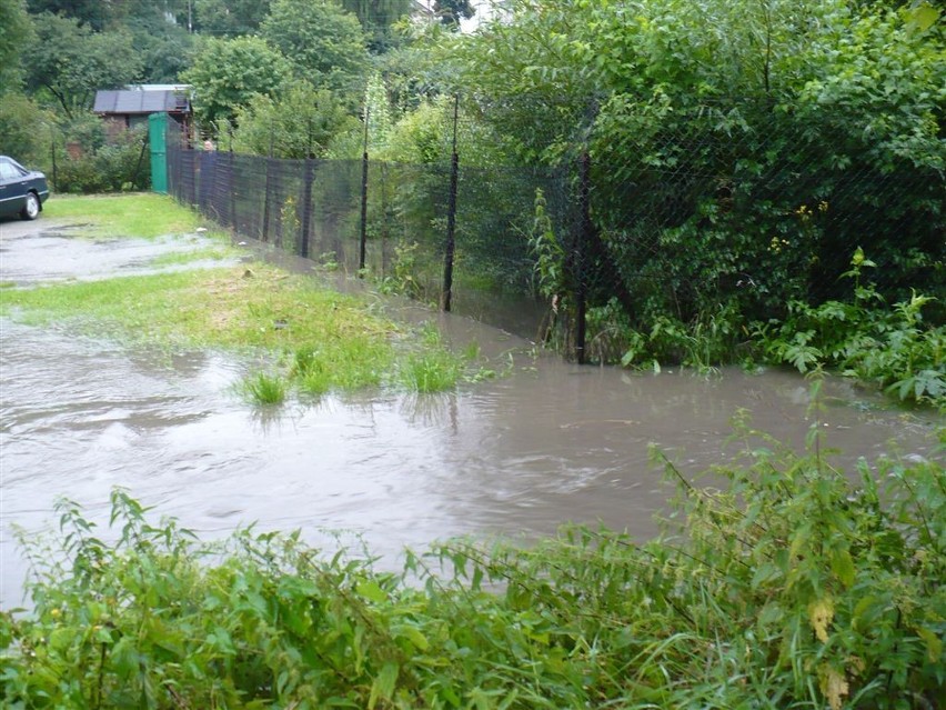 Nowy Sącz: zalane ogródki działkowe na osiedlu Wólki [ZDJĘCIA]
