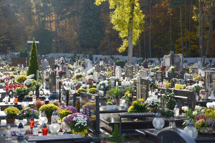 Wszystkich Świętych 2022 w Trójmieście. Jak dojechać na cmentarz? Zmiana organizacji ruchu