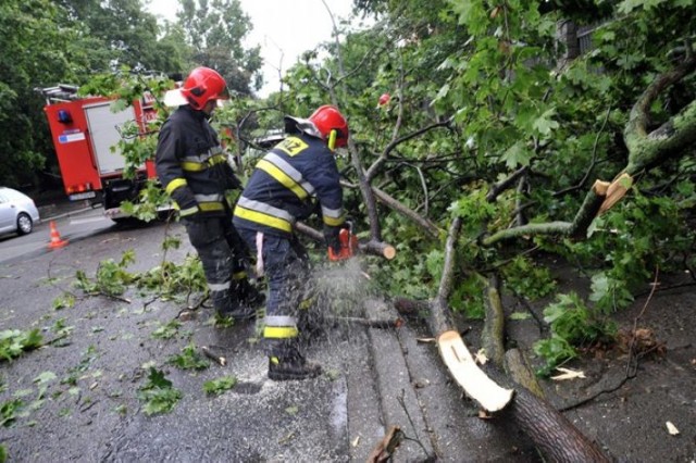 Straż w regionie od rana usuwa skutki nawałnicy