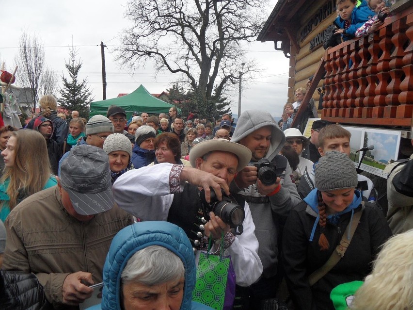 Mieszania owiec w Koniakowie. 1100 owiec wyszło na hale [ZDJĘCIA]