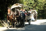 Tatry: czy znów padły konie na szlaku do Morskiego Oka?