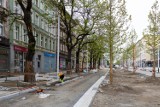 Przebudowa alei Wojska Polskiego w Szczecinie: Coraz więcej zieleni