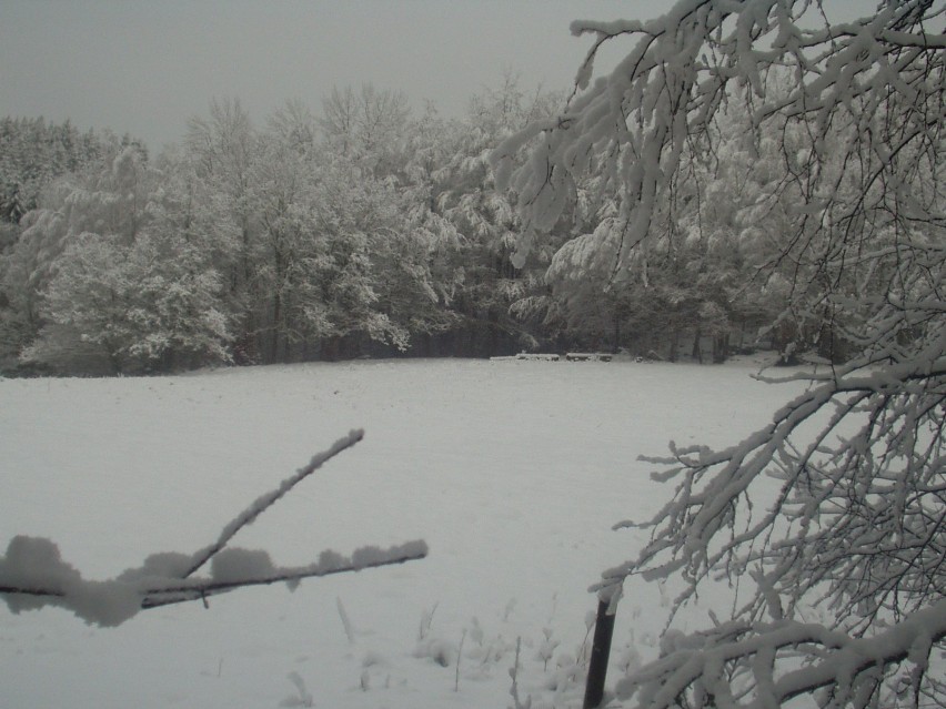 Zimowe widoki (zdjęcia)
