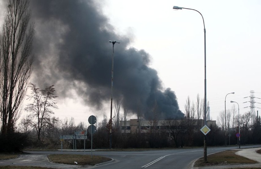 Pożar przed firmą tuningową na terenie Wifamy