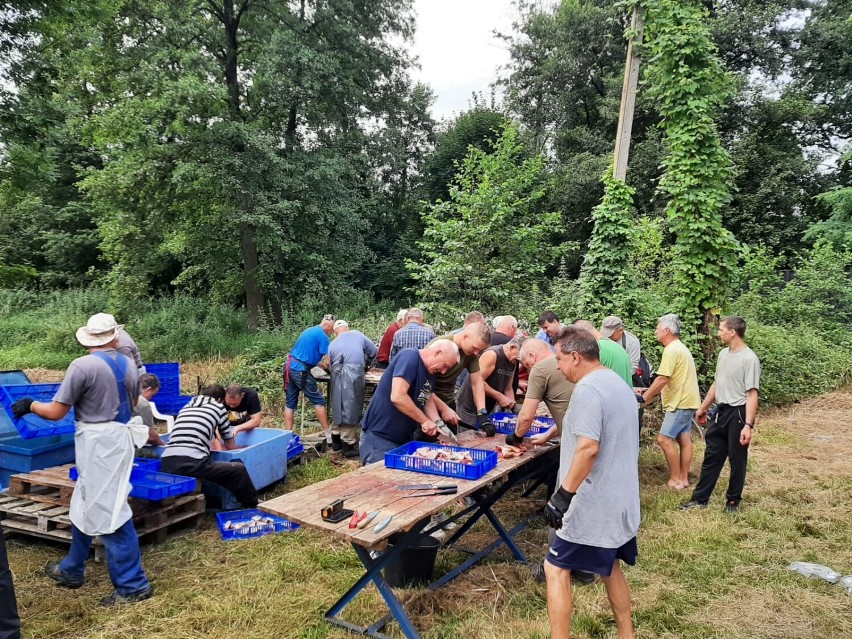 Karp, kiełbasa, pierogi i dziki. Szykuje się wielka uczta w...