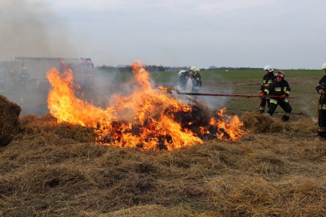 Pożar pod Fromborkiem. Na polu paliły się baloty słomy