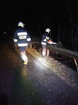 Silny wiatr w powiecie gdańskim. Połamane drzewa, nieprzejezdne drogi skutkami wichury [ZDJĘCIA]