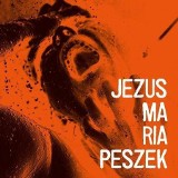 Koncert Marii Peszek w klubie Dom Kultury