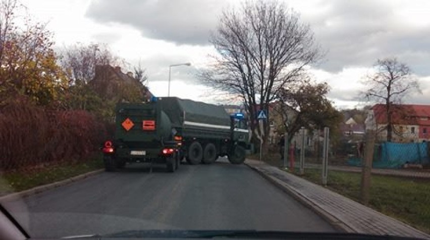 Bogatynia: Saperzy na terenie działek "Marzenie"