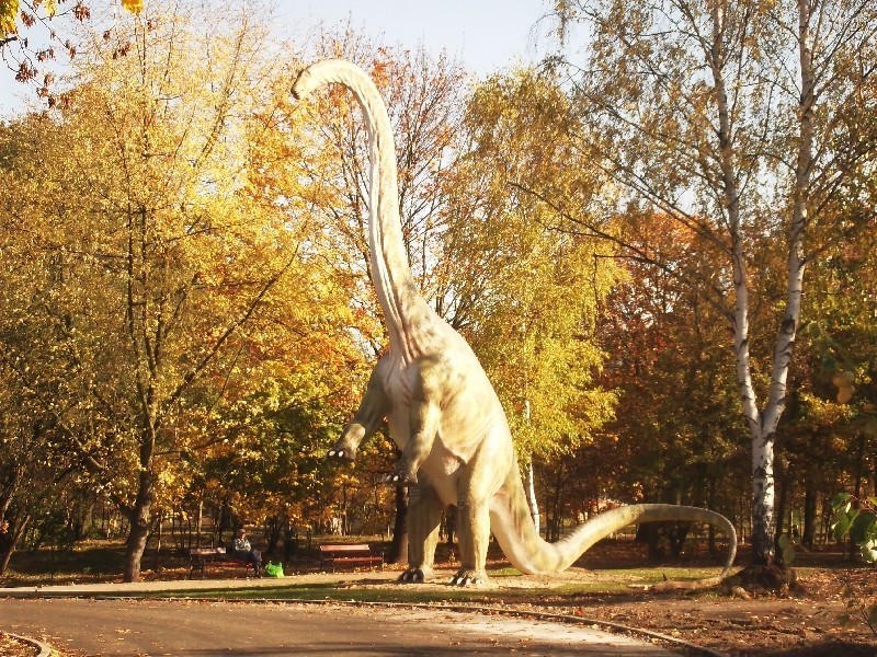 12 figur dinozaurów stoi już w parku Wrocławskim w Lubinie....