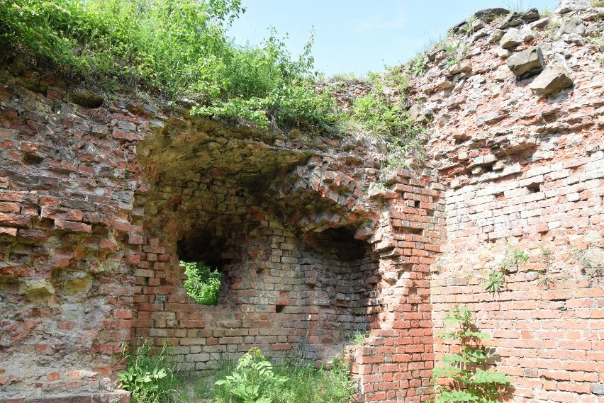 Sekrety ruin zamku na Marcince na nowo odkrywane [ZDJĘCIA]