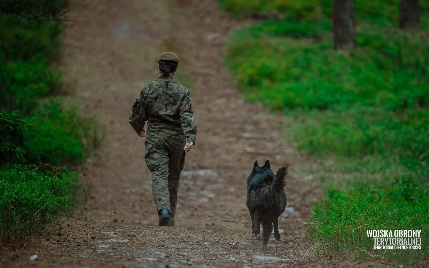 Szeregowy ARES. Pierwszy pies ratowniczy w Wojsku Polskim |ZDJĘCIA