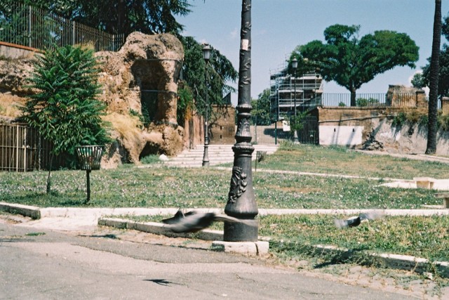 Park Colle Oppio z fragmentami starożytnych murów, fot. J.Kowalczyk