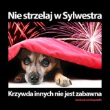 Nie strzelam w Sylwestra!