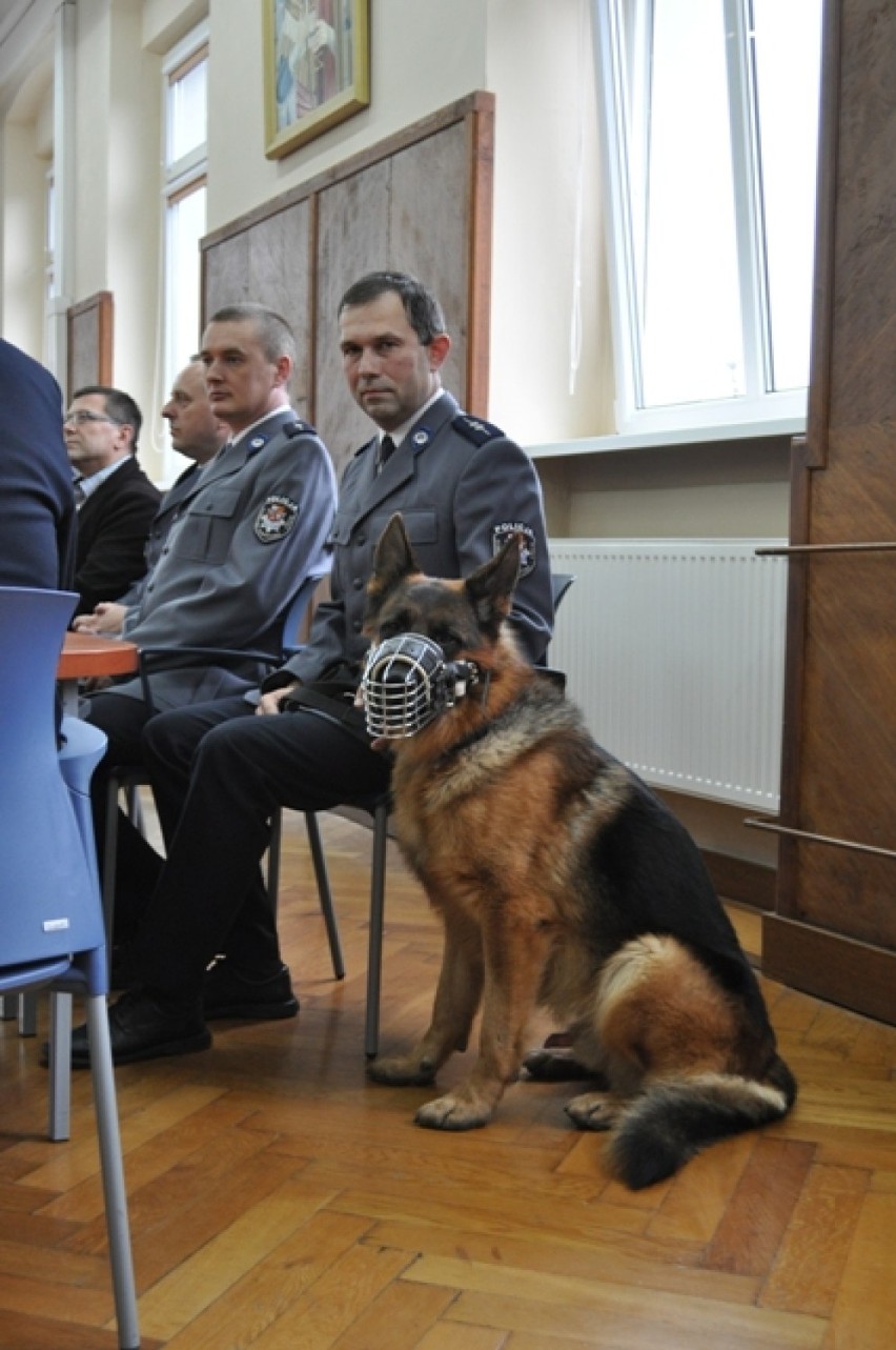 Najlepsza para przewodnik - pies w policji [Śrem, 22.10.2014...