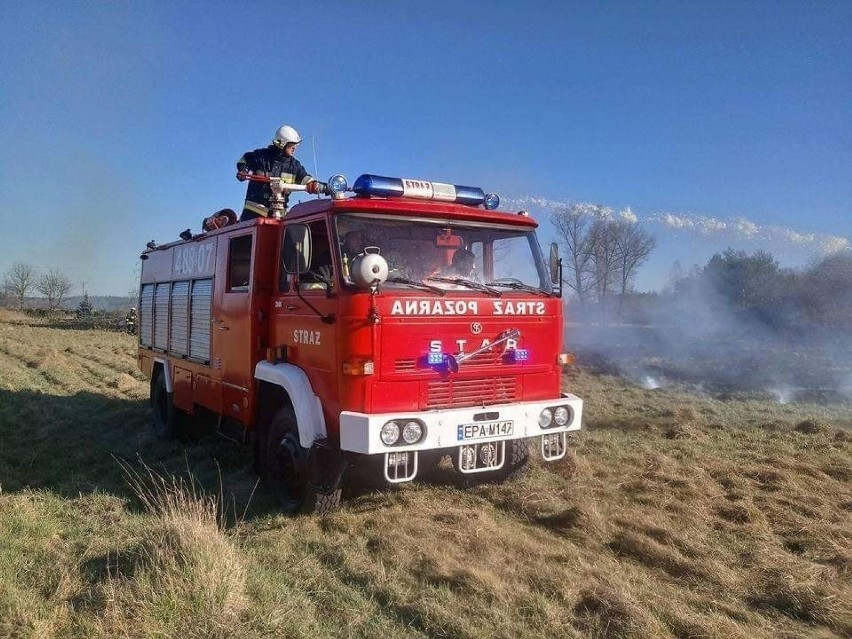 Jednostka OSP Roku 

- OSP Bechcice - pow. pabianicki