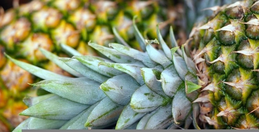 Bromelainie przypisuje się m.in. działanie:...