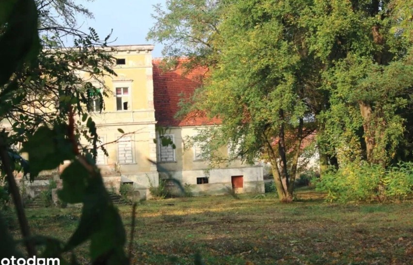 Pałac w Obiszowie jest na sprzedaż