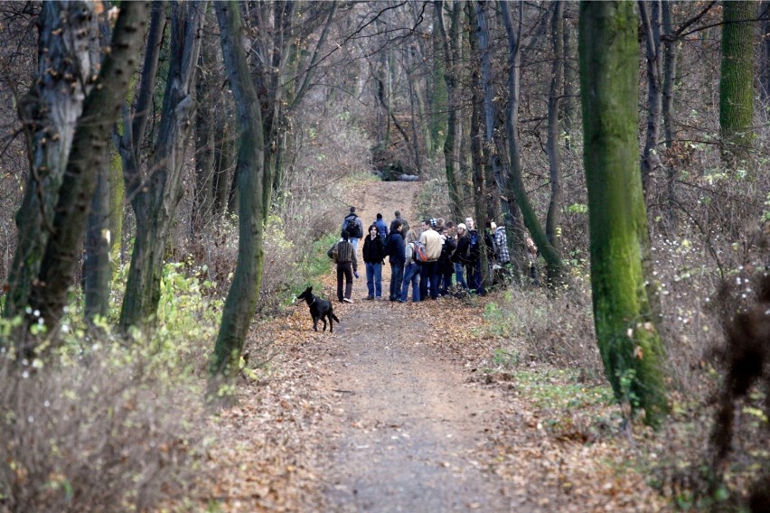 Nadleśnictwo Gdańsk policzyło ludzi w trójmiejskich lasach. Jeżdżą, biegają, spacerują...