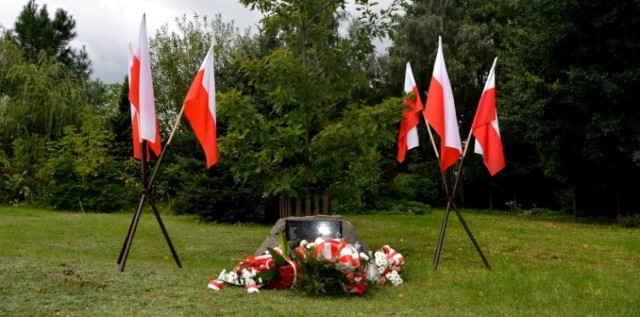 Obchody 9. rocznicy posadzenia Dębu Pamięci Tadeusza Rozpędka