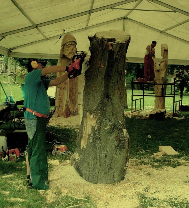 Po sukcesie ubiegłorocznej edycji festiwalu naturalną koleją rzeczy stała się organizacja imprezy i w roku bieżącym